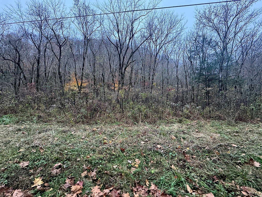 0 Pine Lick Rd Whitleyville, TN 38588 - Thumbnail 3