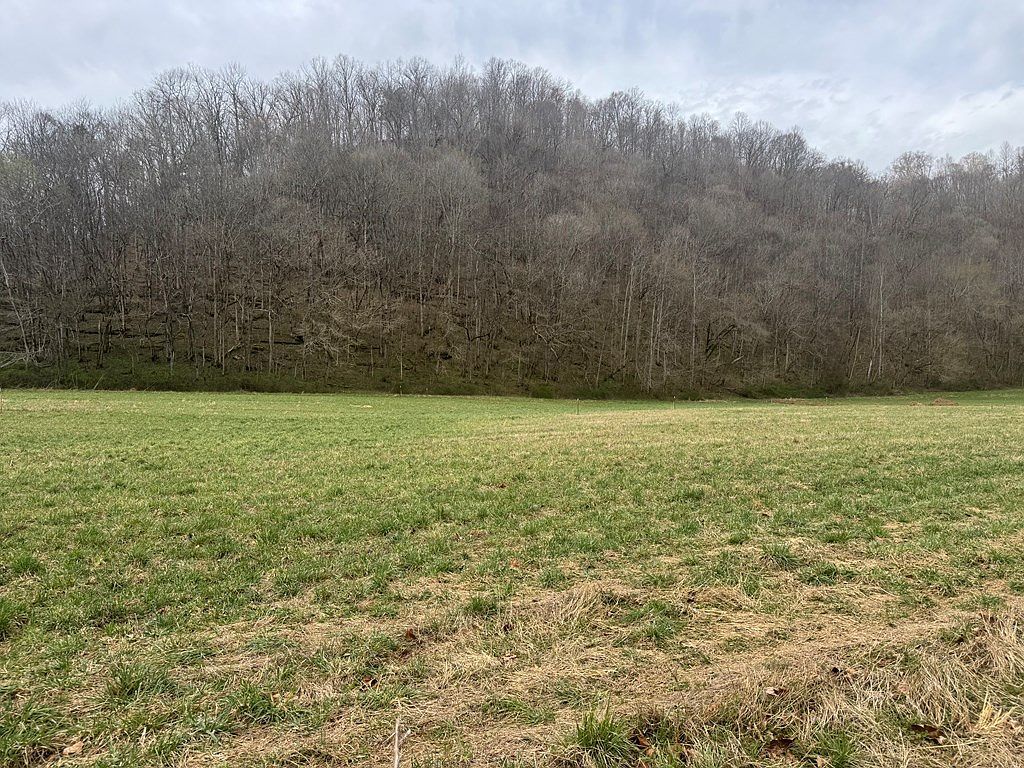 561 Pine Lick Rd Whitleyville, TN 38588 - Thumbnail 3