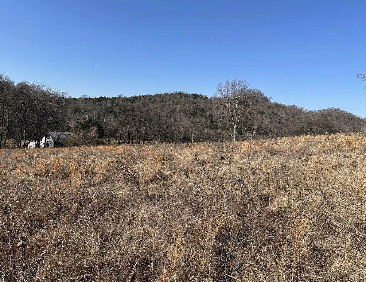 0 Salt Lick Creek Rd Lot 6 Gainesboro, TN 38562 - Thumbnail 3