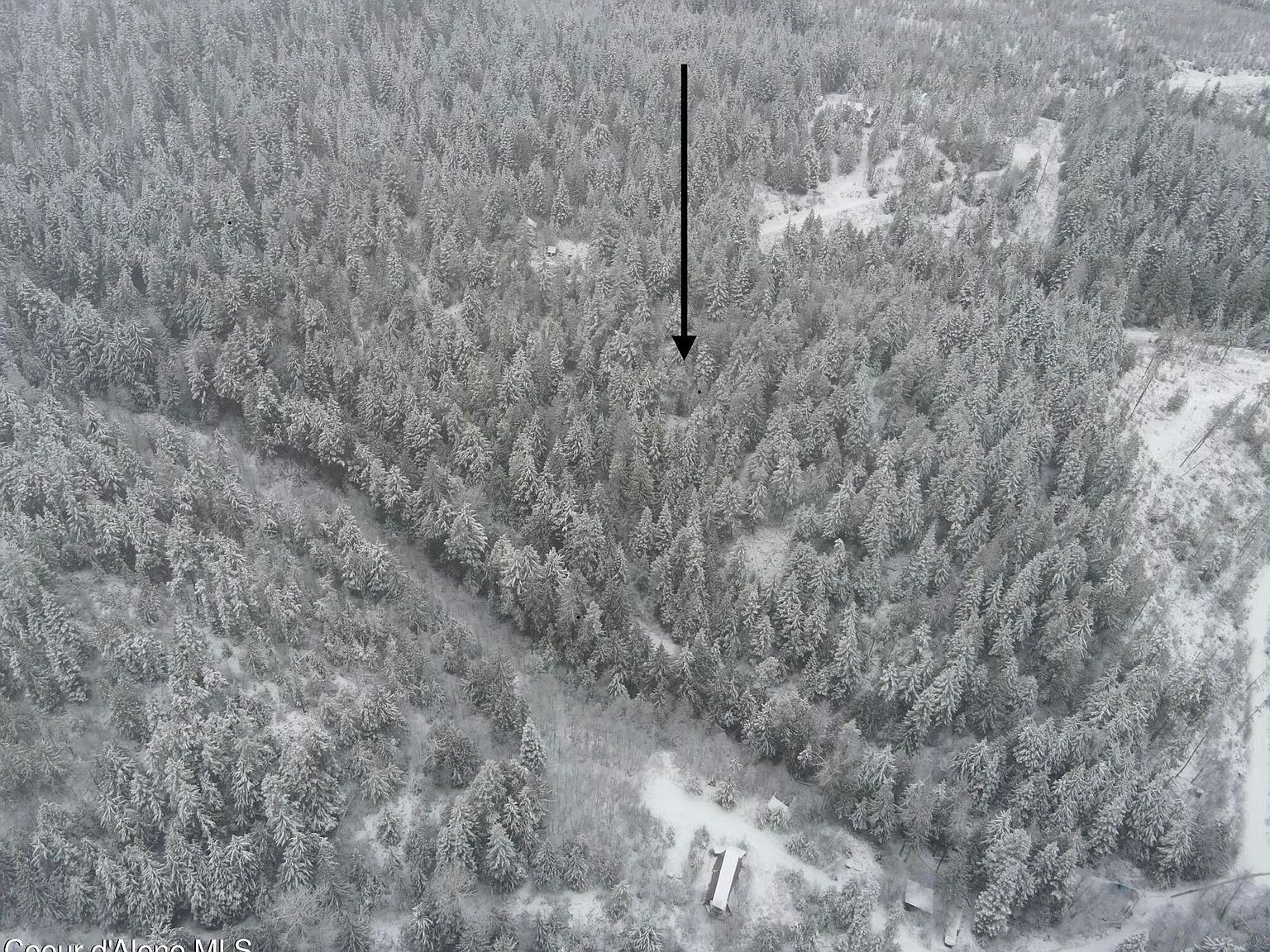 393 E Ridge Rd Saint Maries, ID 83861 | Land/Lot