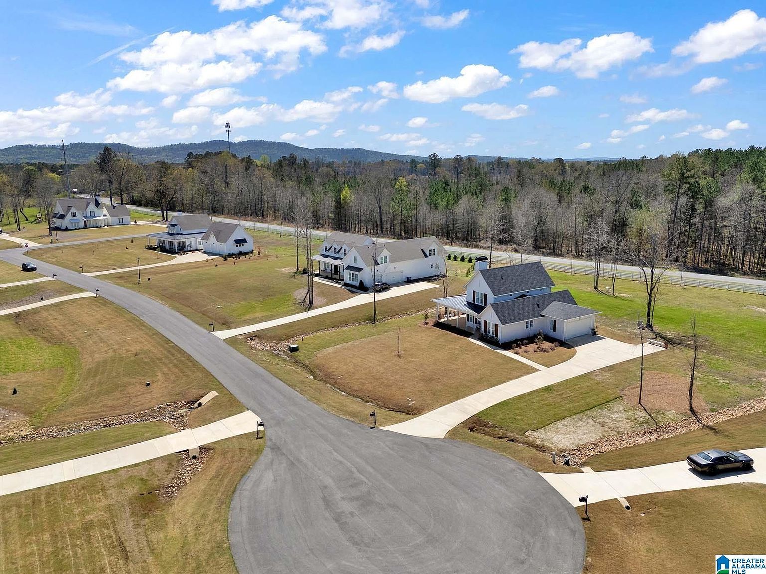 65 Stonewood Ln Springville, AL 35146 - Thumbnail 3