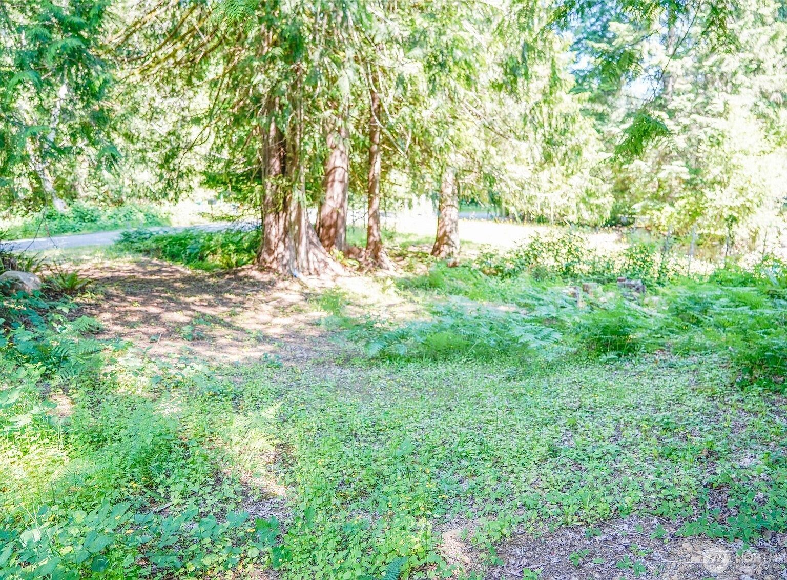 0 Maple Ave Brinnon, WA 98320 - Thumbnail 3