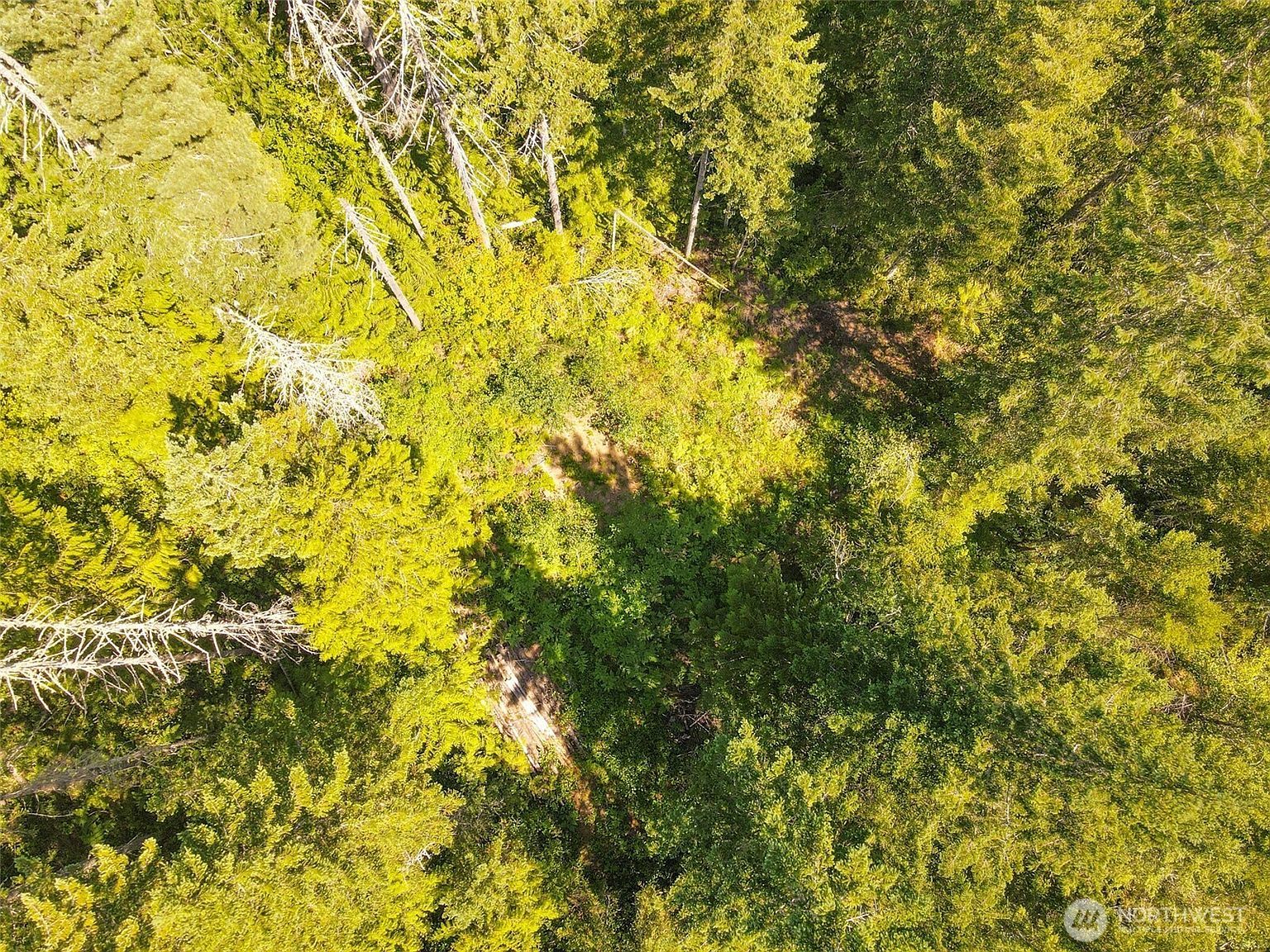 0 N Robinson Rd Hoodsport, WA 98548 - Thumbnail 3