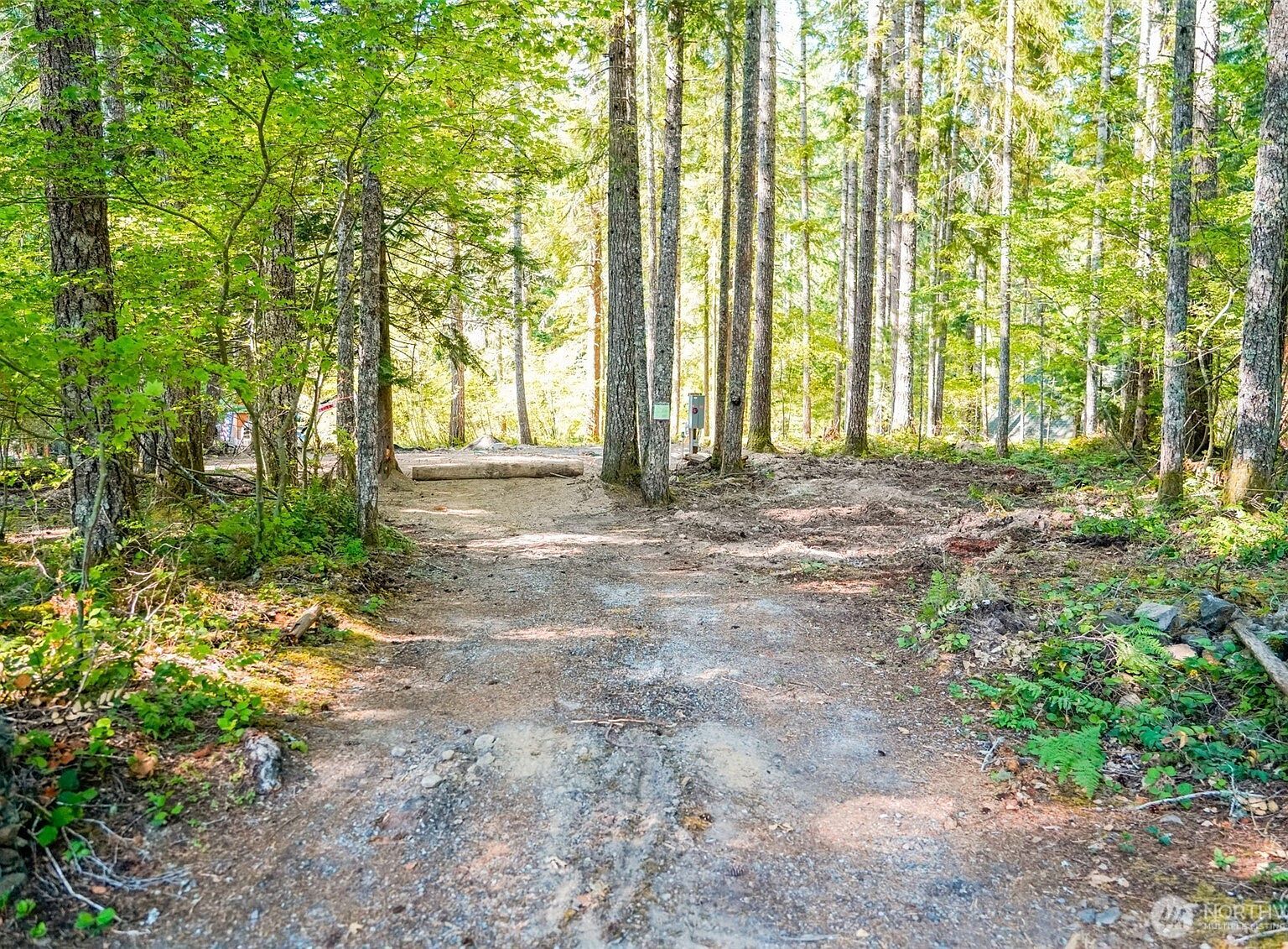 21 N Quinault Pl Hoodsport, WA 98548 - Thumbnail 3