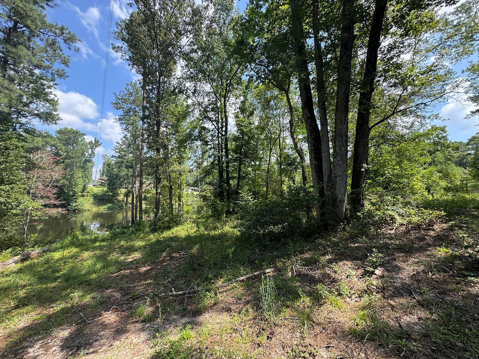 0 Hummingbird Dr Trenton, SC 29847 - Thumbnail 3