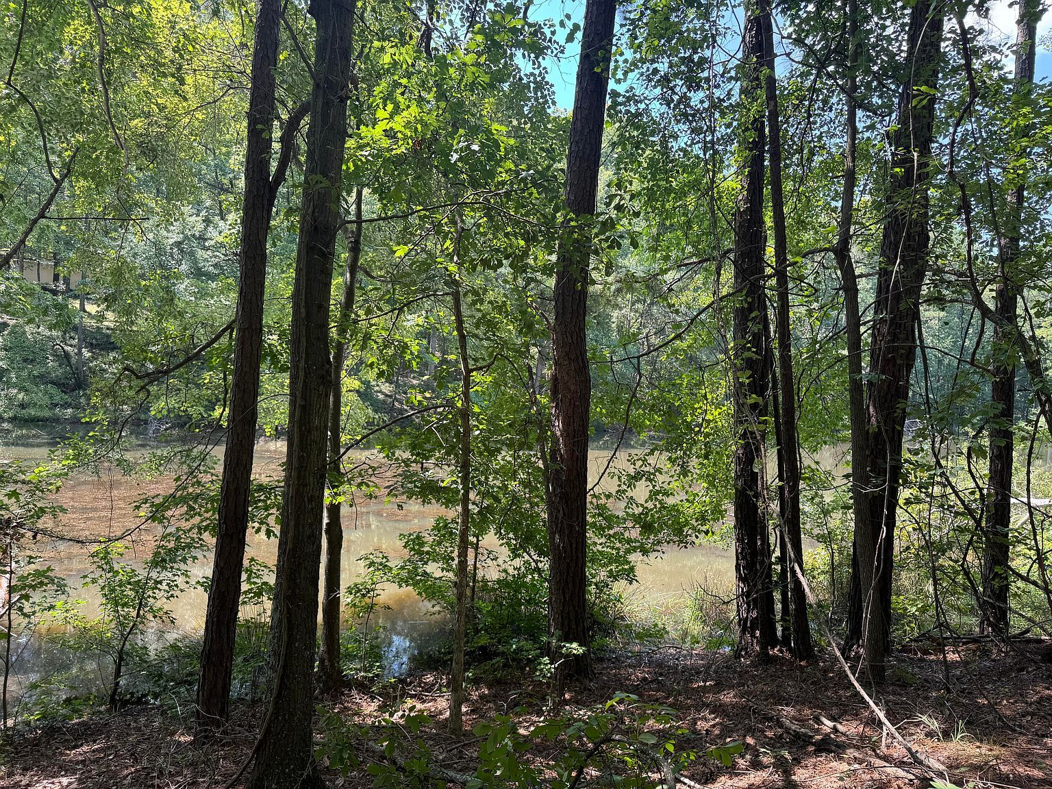 2 Cardinal Dr Trenton, SC 29847 - Thumbnail 3