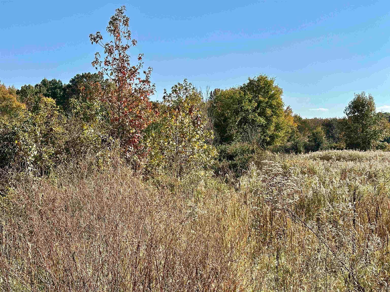 2353 County Road 760 Jonesboro, AR 72405 - Thumbnail 3