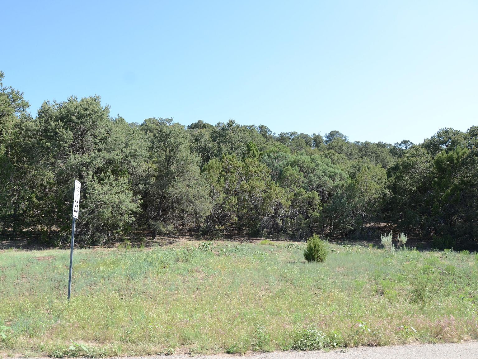 24 Anne Pickard Loop Tijeras, NM 87059 - Thumbnail 3