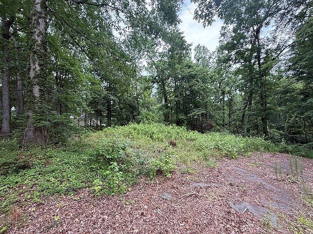 410 Dogwood Dr Greenwood, SC 29646 - Thumbnail 3