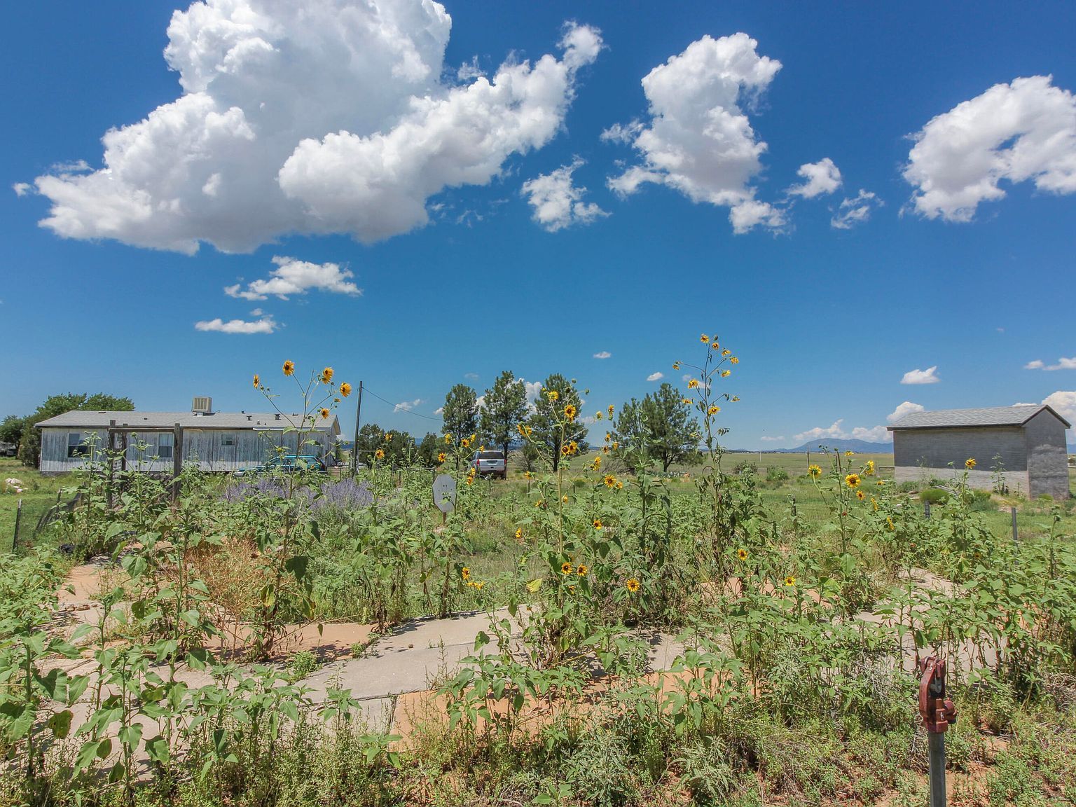 10 Gloria Moriarty, NM 87035 - Thumbnail 3