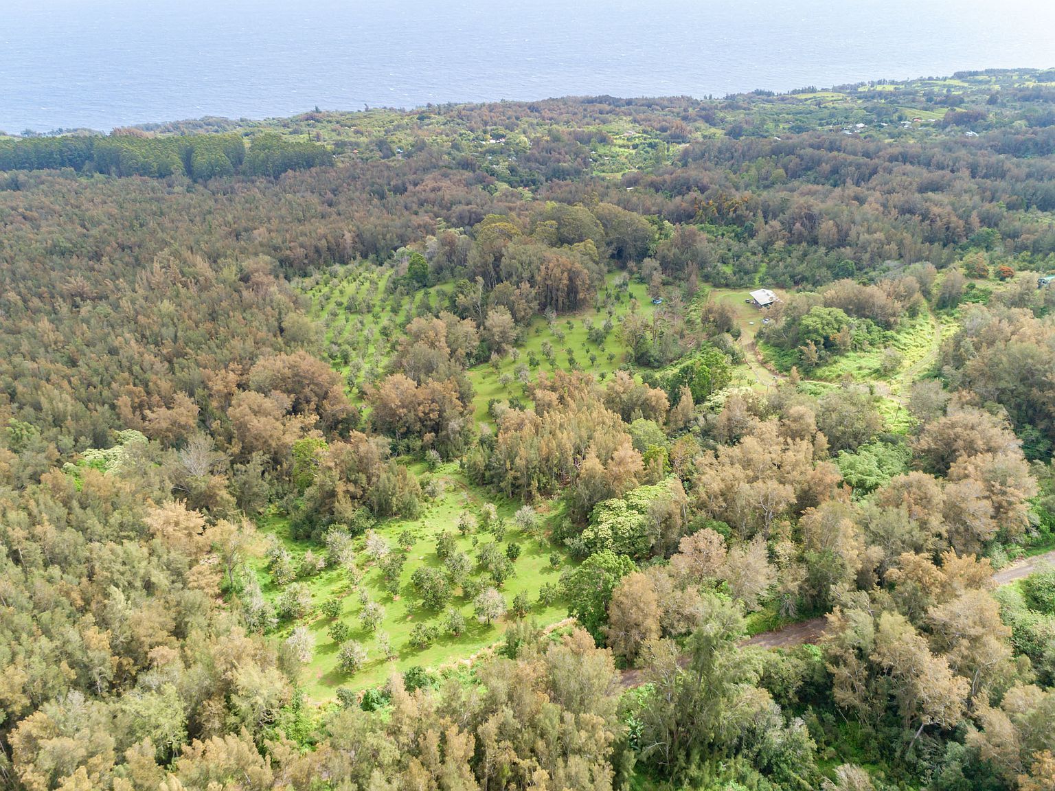 47-4630 Cane Haul Rd Honokaa, HI 96727 - Thumbnail 3