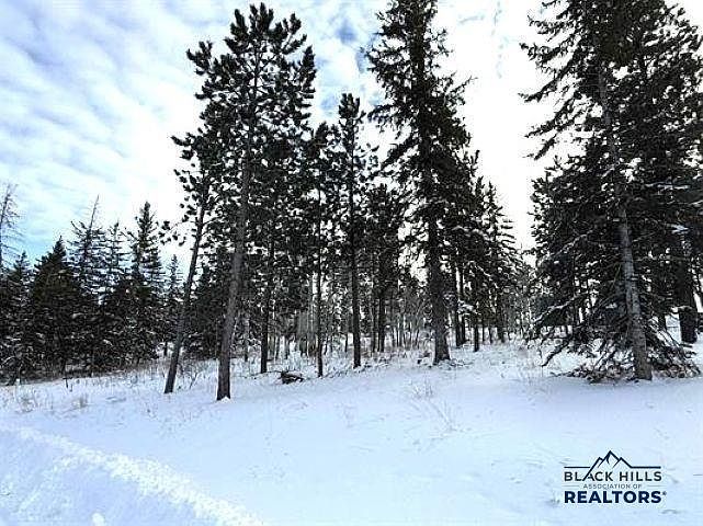 Smokey Court Trail Side Addnsmokey Stoke Ct LOT 31 Lead, SD 57754 - Thumbnail 3