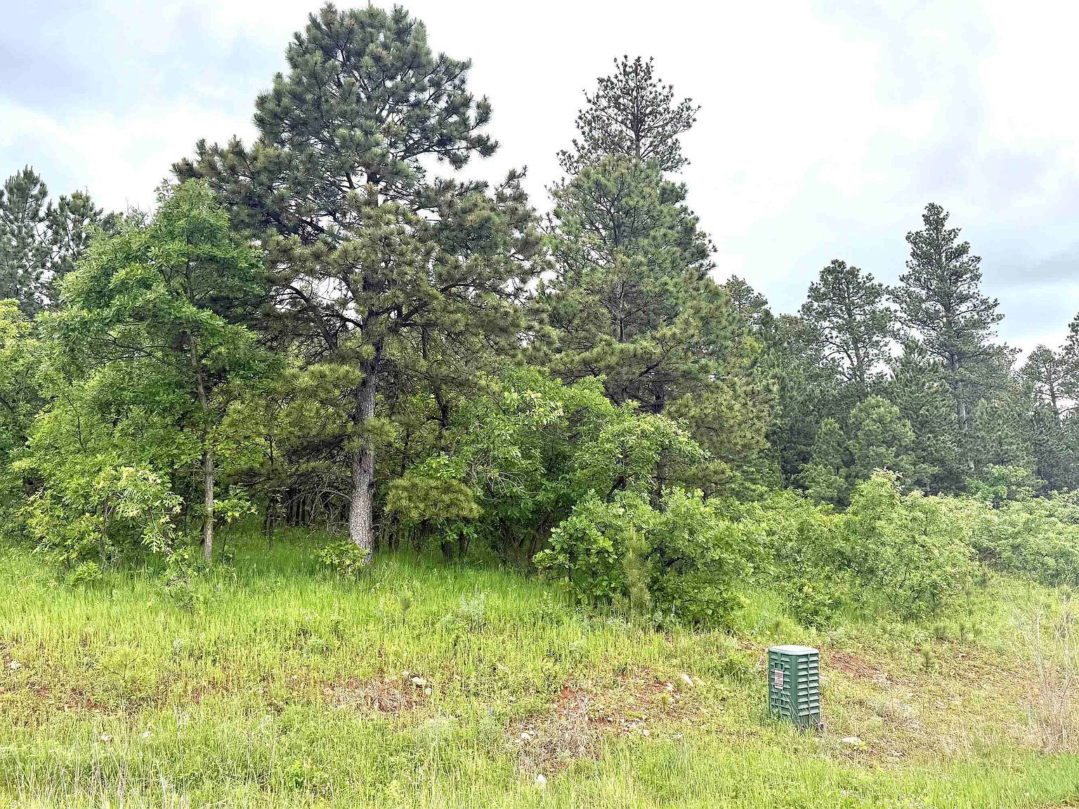 LOT 5 Tanager Ct Spearfish, SD 57783 - Thumbnail 3