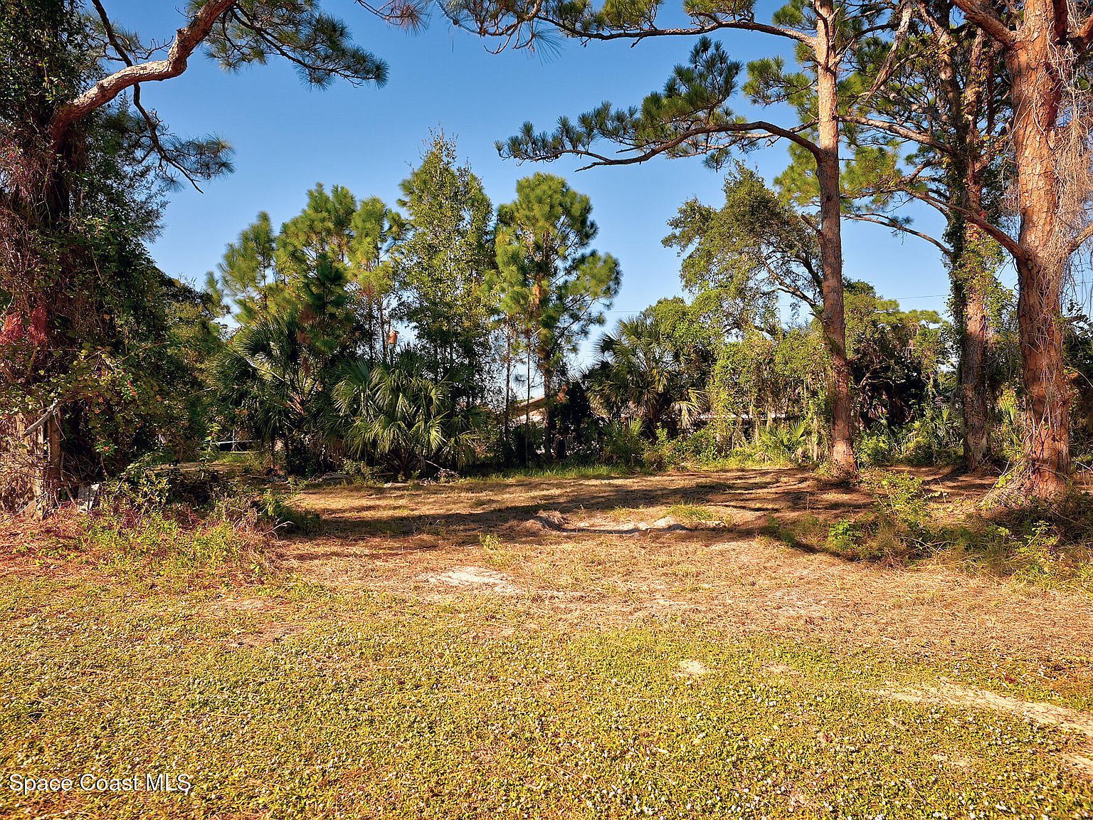 0 S Tropical Trl Merritt Island, FL 32952 - Thumbnail 3