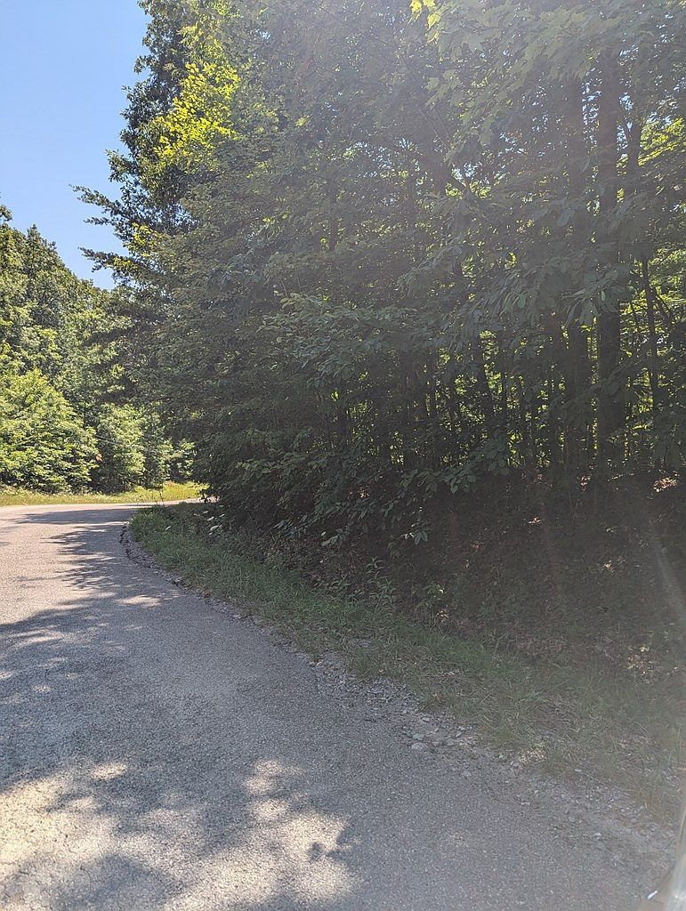 LOT 23 Street Place Loop Monterey, TN 38574 - Thumbnail 3