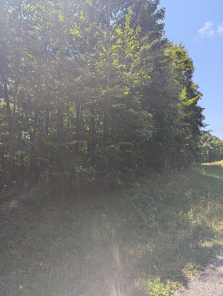 LOT 22 Street Place Loop, Monterey, TN, 38574 - Thumbnail 3