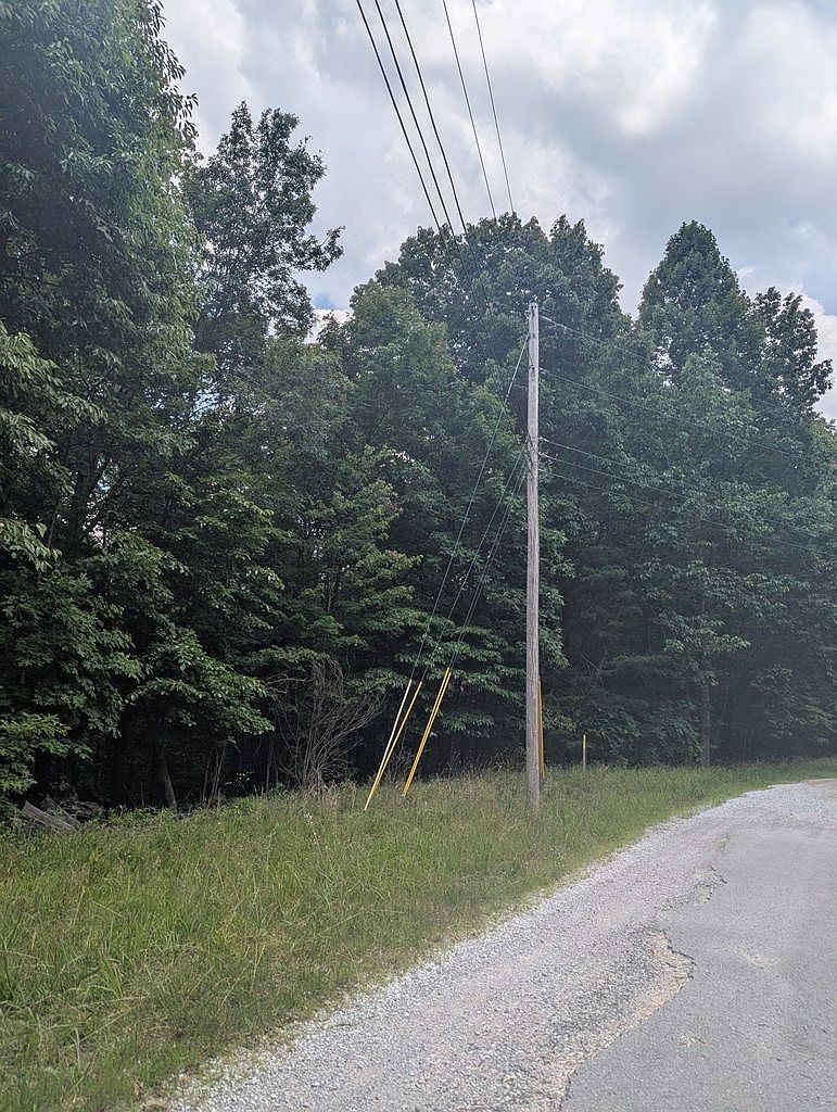 0 Scenic Pl Monterey, TN 38574 - Thumbnail 3