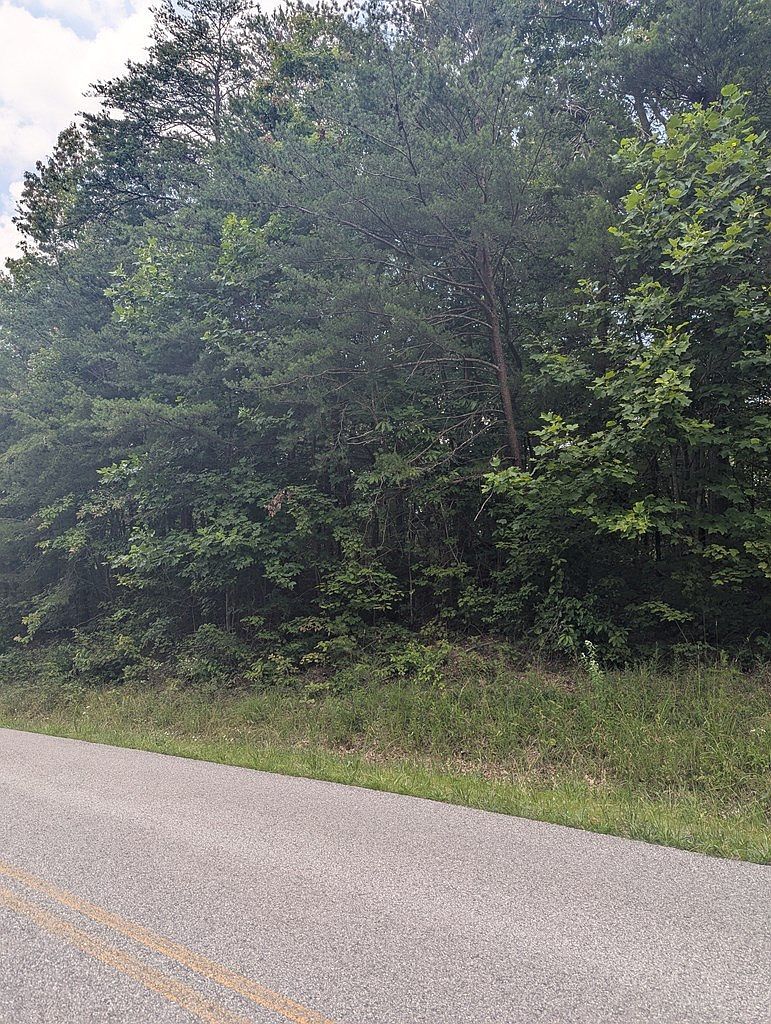 0 Belmont Dr Monterey, TN 38574 - Thumbnail 3