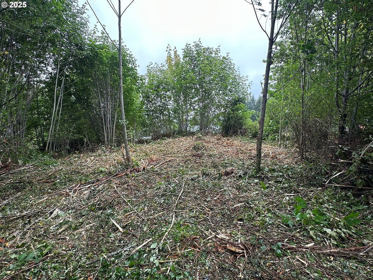 0 Bear Rd Seaside, OR 97138 - Thumbnail 3