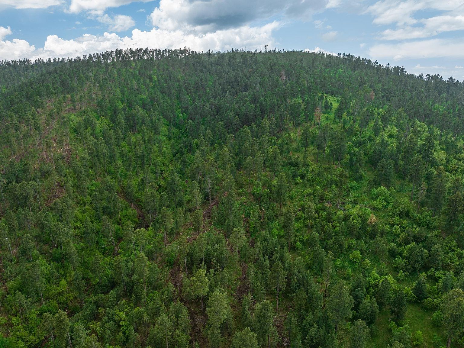 Crook Mountain Rd Sturgis, SD 57785 - Thumbnail 3