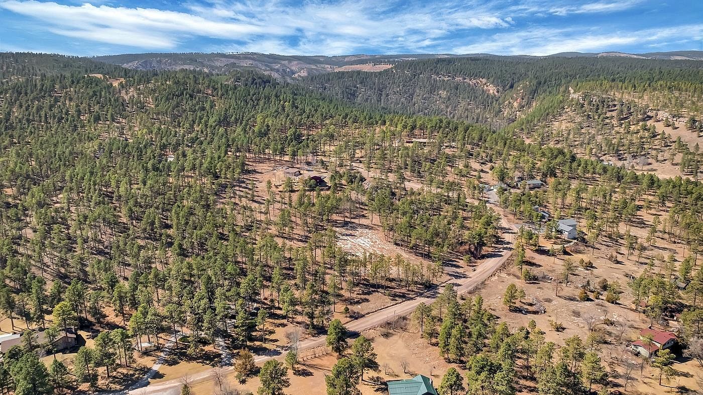 12767 Mohawk Dr Piedmont, SD 57769 - Thumbnail 3