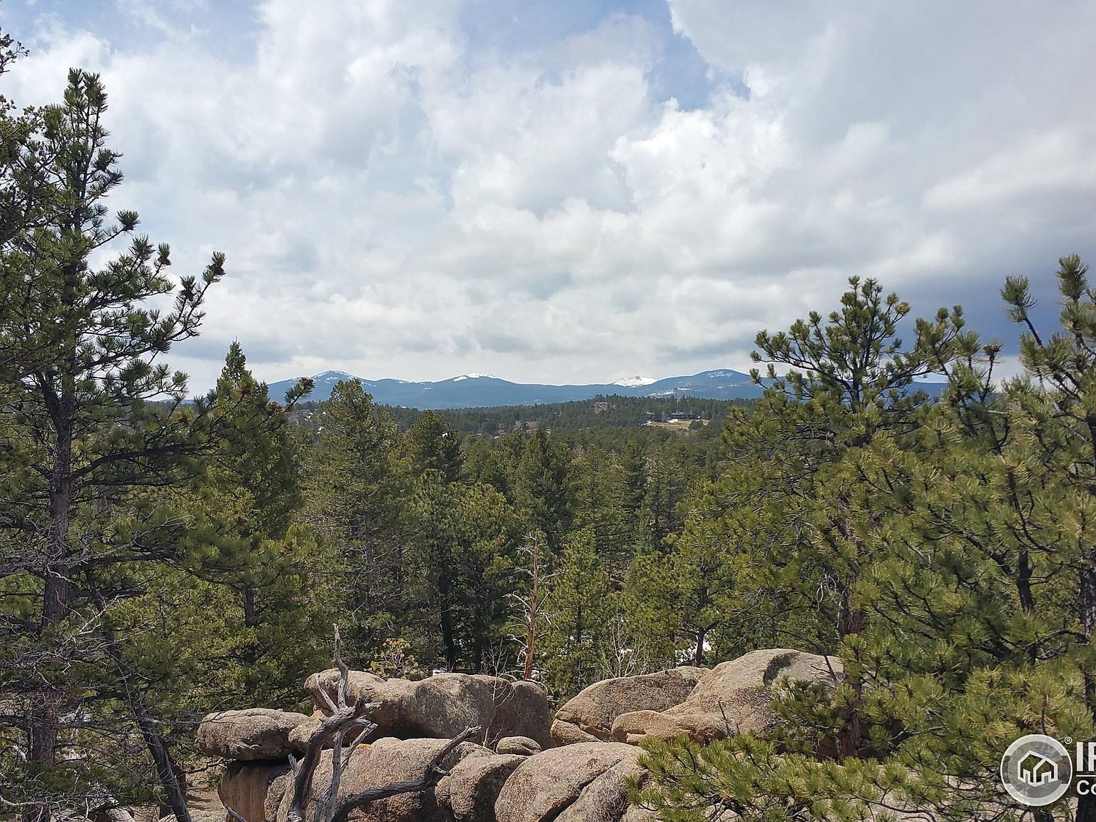 2928 Fox Acres Dr E Red Feather Lakes, CO 80545 - Thumbnail 3