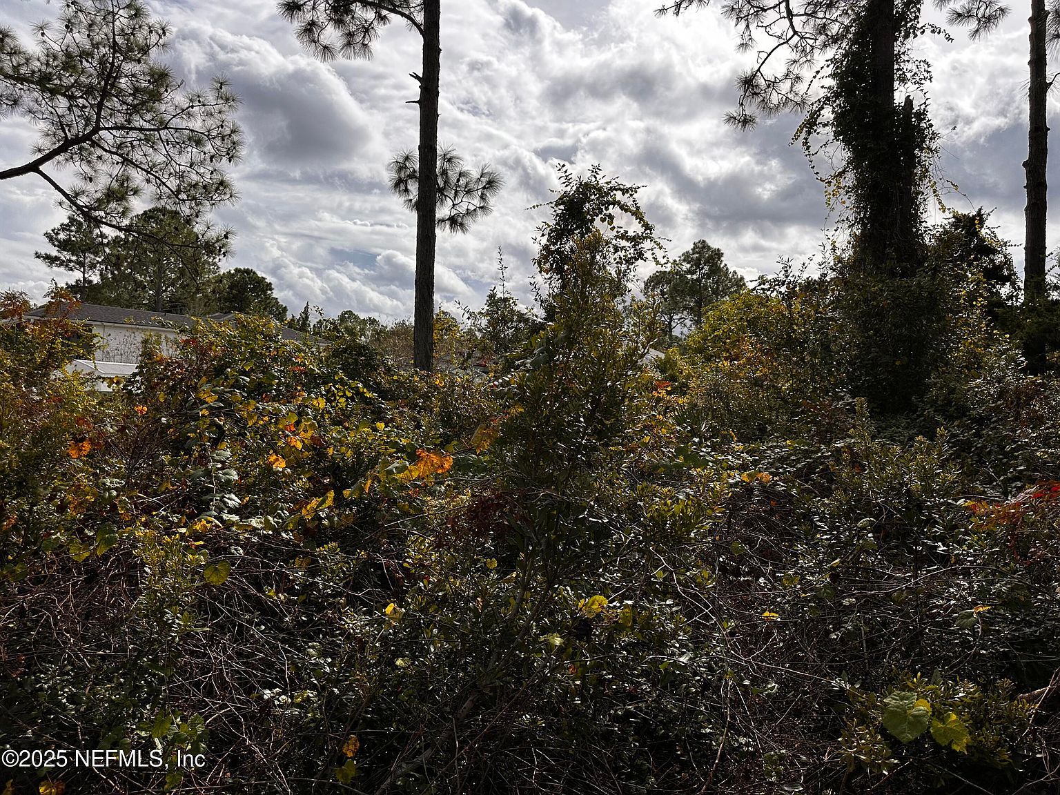 88 Princess Ruth Ln Palm Coast, FL 32164 - Thumbnail 3