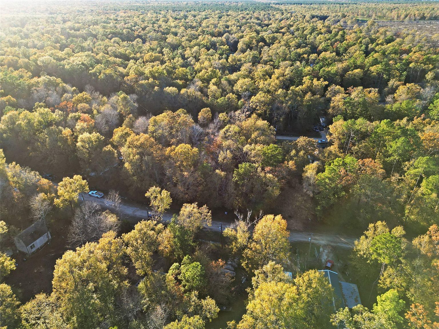 0 Knottypine Livingston, TX 77351 - Thumbnail 3