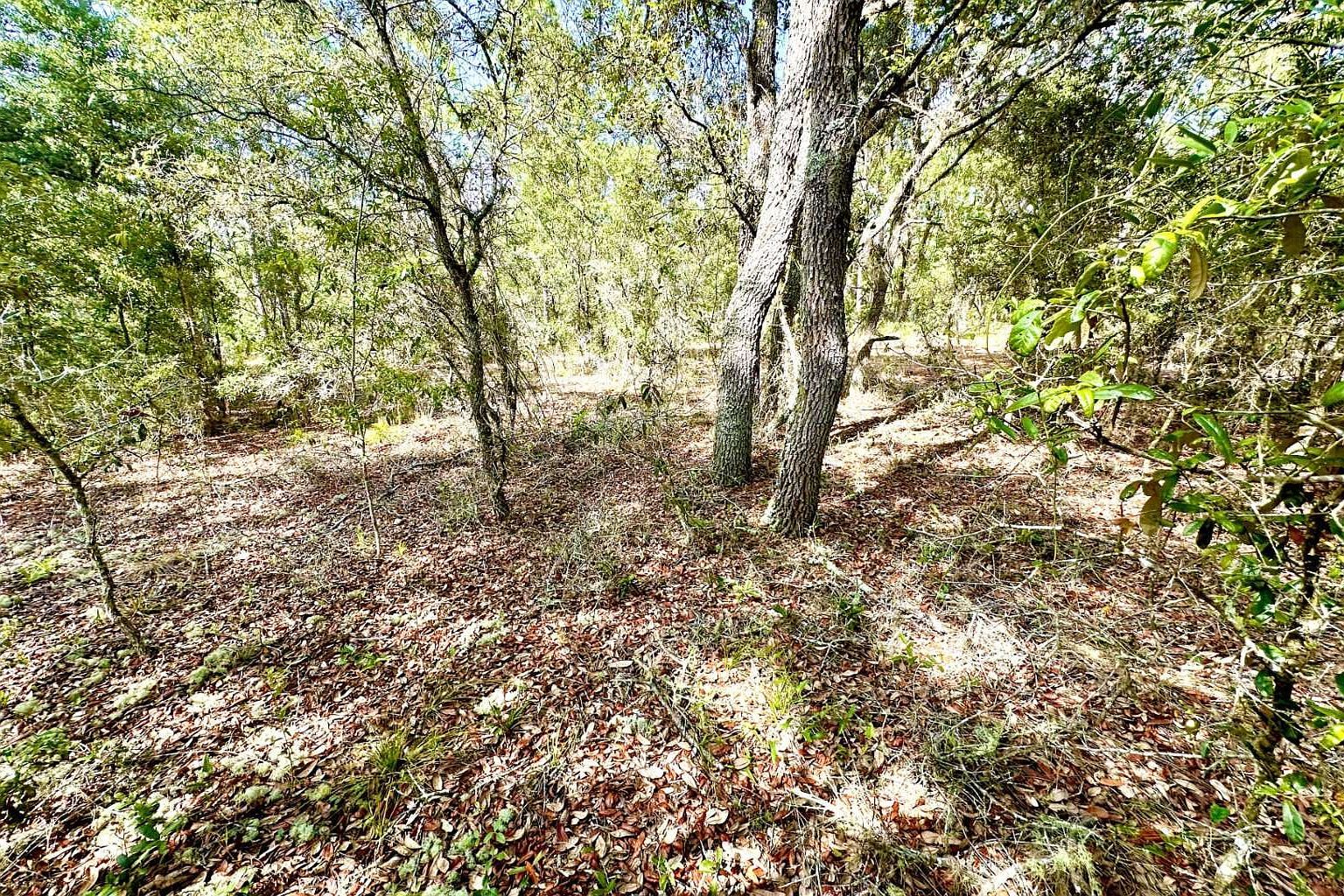 10361 SE 126th Belle Glade, FL 33430 - Thumbnail 3