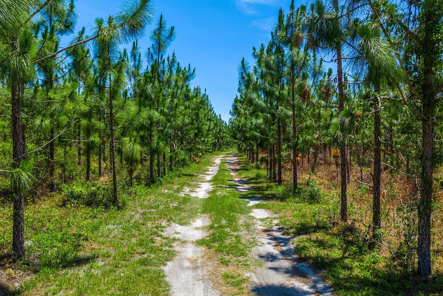 0 SE Coolidge Ave Lee, FL 32059 - Thumbnail 3