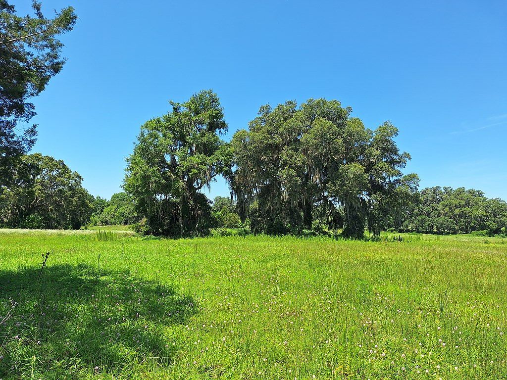 LOT 13 NW 154th Avenue Rd Morriston, FL 32668 - Thumbnail 3