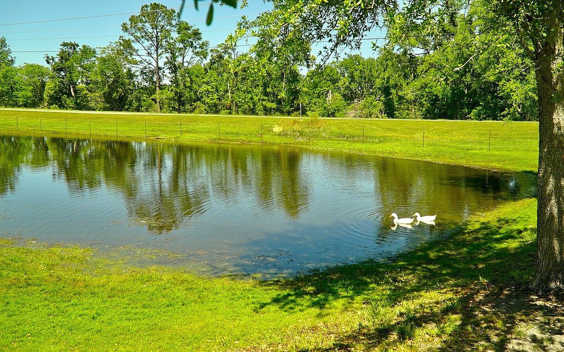 18708 County Road 250 Live Oak, FL 32060 - Thumbnail 3