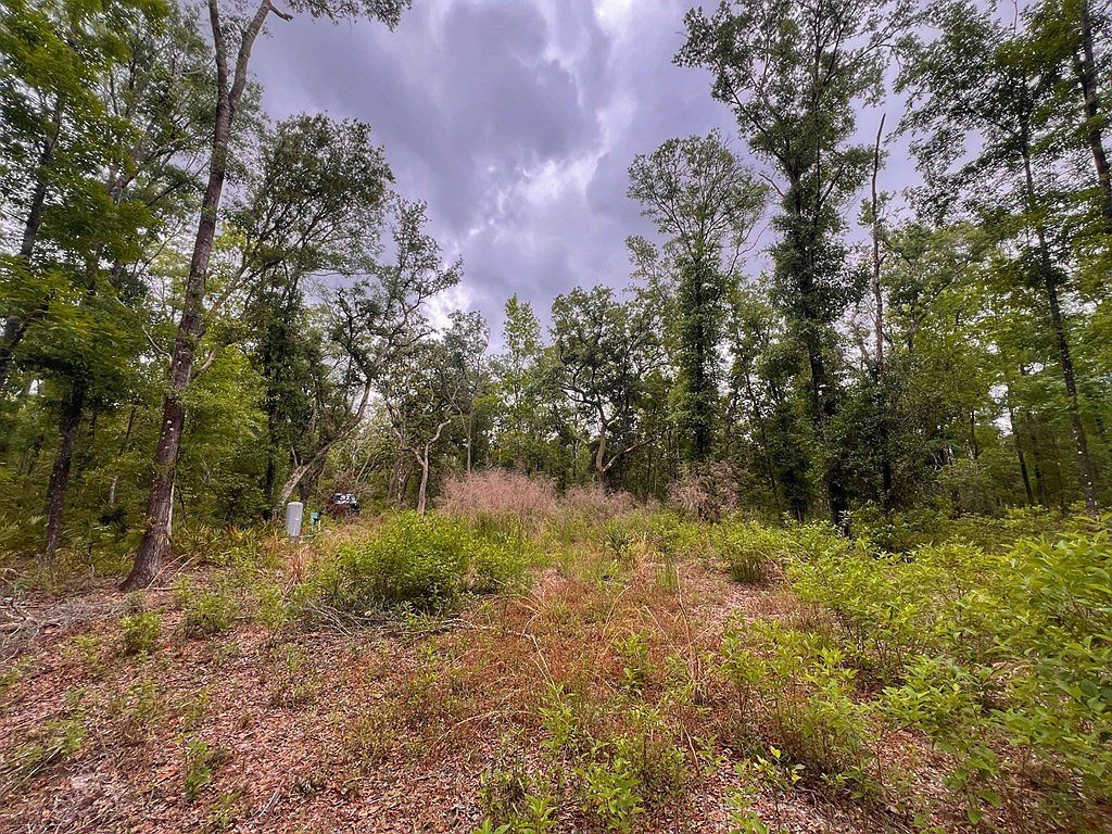 110 NE 770th St Old Town, FL 32680 - Thumbnail 3