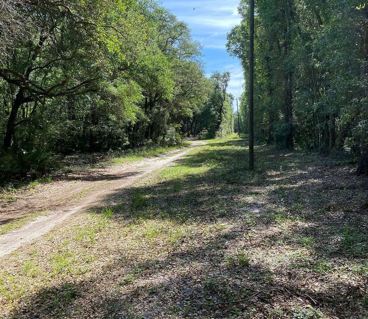 4 NW West South Dr LOT 127 Mayo, FL 32066 - Thumbnail 3