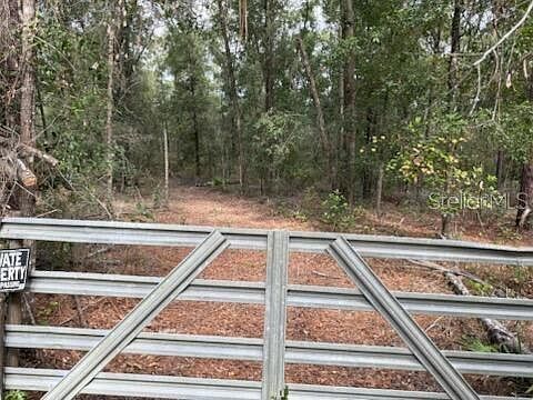 0 SW County Road 138 Fort White, FL 32038 - Thumbnail 3