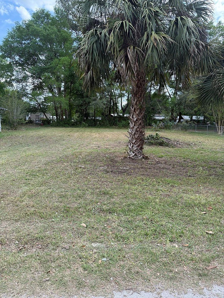 LOT 1 NE 7th Ave Trenton, FL 32693 - Thumbnail 3