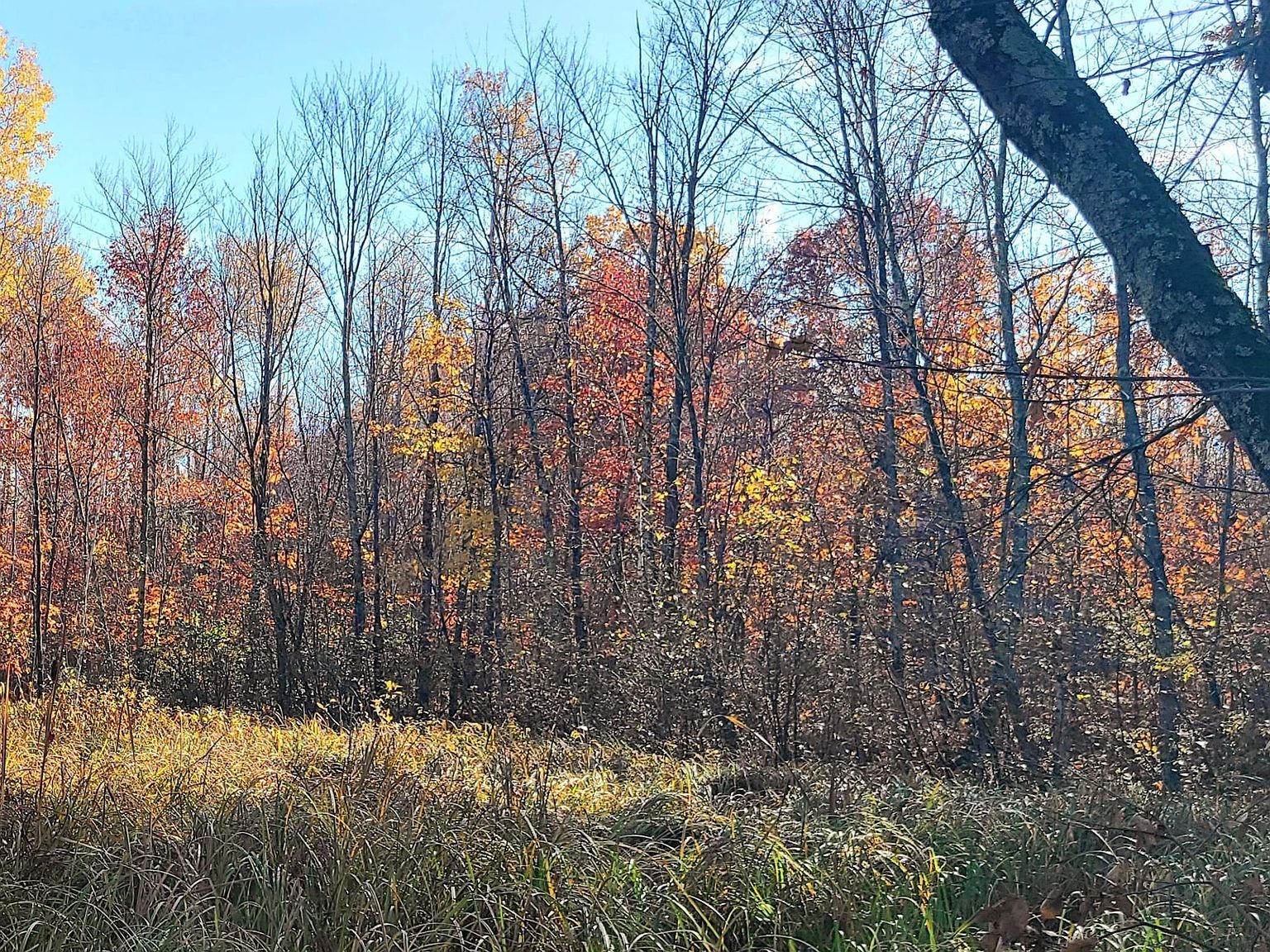 Us Highway 77 Minong, WI 54859 - Thumbnail 3