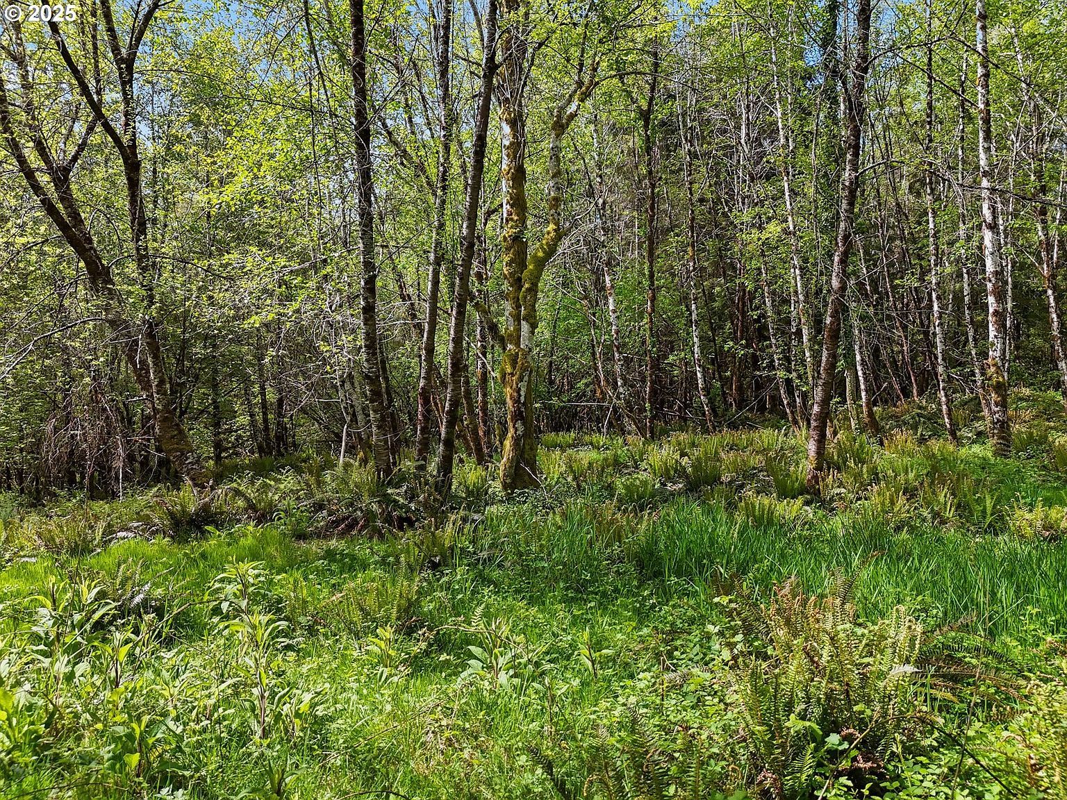 1420 Raymond South Bend Rd Raymond, WA 98577 - Thumbnail 3