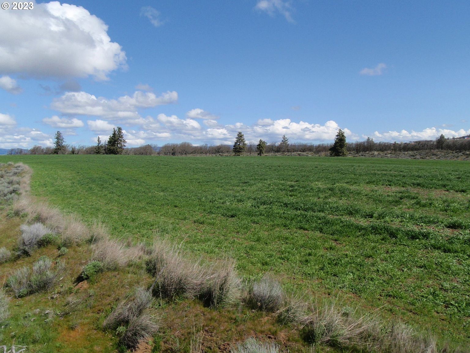Lightening Ln Goldendale, WA 98620 - Thumbnail 3