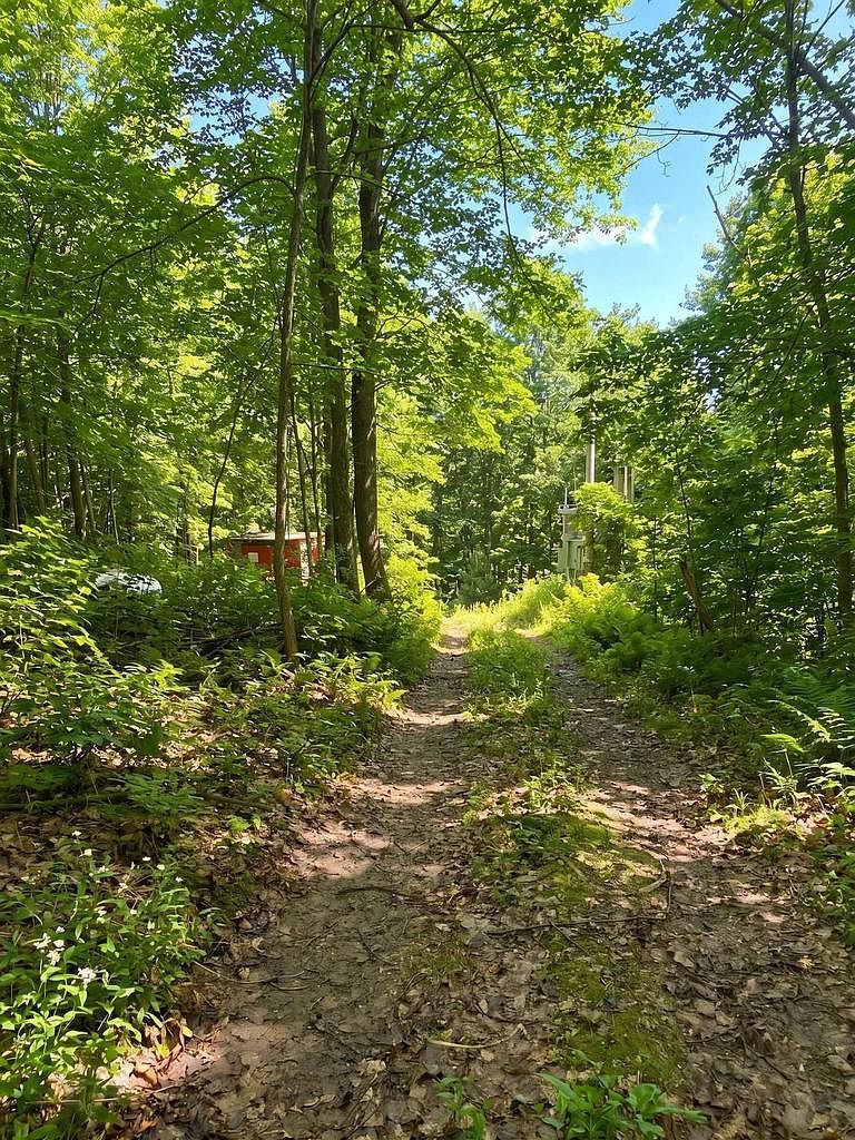 E5894 Jore Rd Westby, WI 54667 - Thumbnail 3