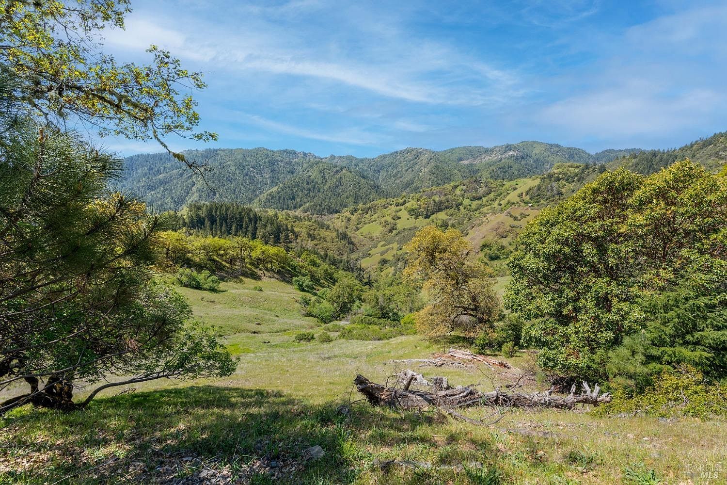 15800 Ridgeview Rd Willits, CA 95490 - Thumbnail 3