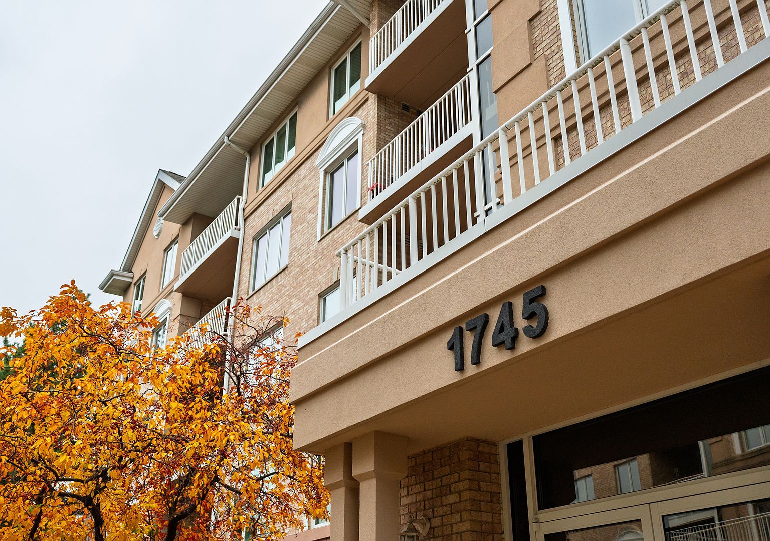 1745 Pavilion Way UNIT 206 Park Ridge, IL 60068 - Thumbnail 3