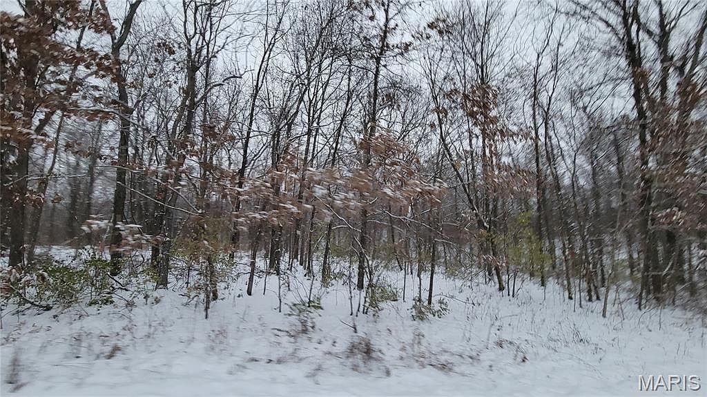 TRACT 2 Valley Farm Warrenton, MO 63383 - Thumbnail 3