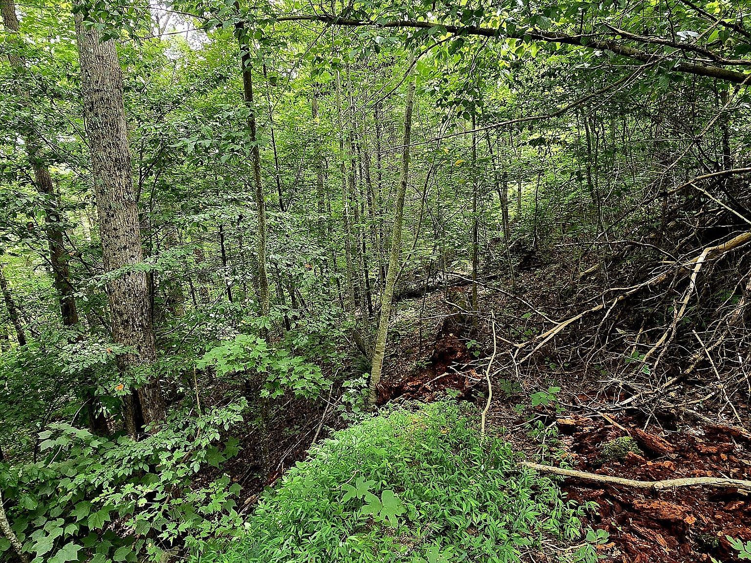 491 Chetola Trl Townsend, TN 37882 - Thumbnail 3
