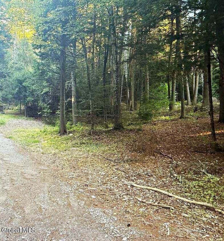 L31 Clarkson Rd Chestertown, NY 12817 - Thumbnail 3