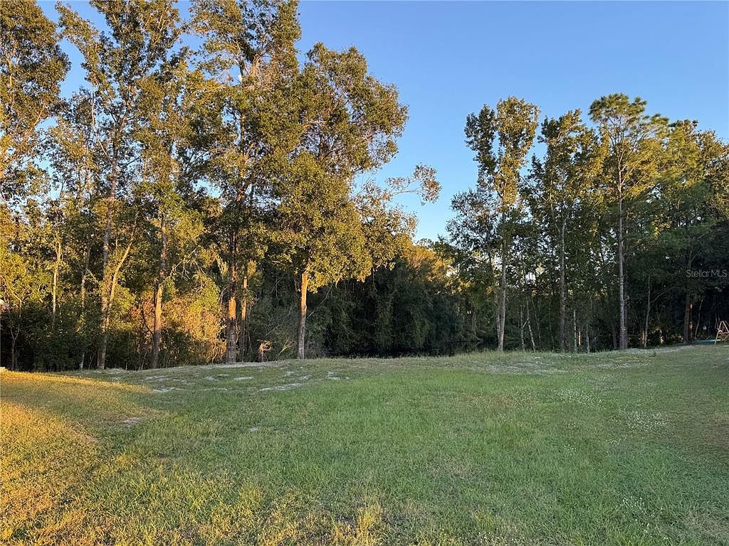 0 Eagle Blvd LOT 13 Land O Lakes, FL 34639 - Thumbnail 3