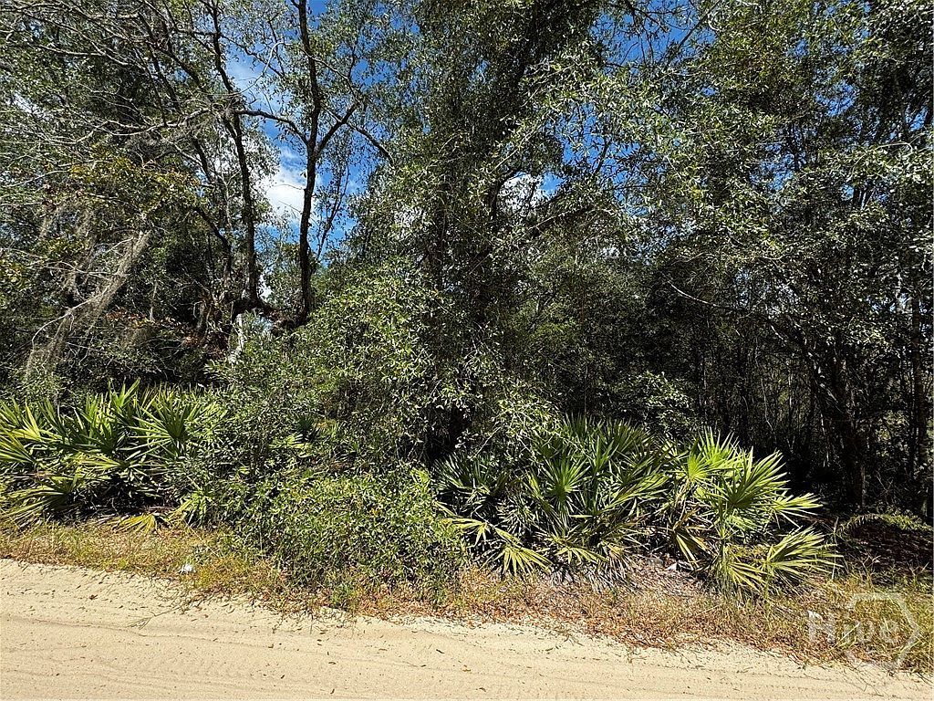 0 Hillside Dr Claxton, GA 30417 | Land/Lot