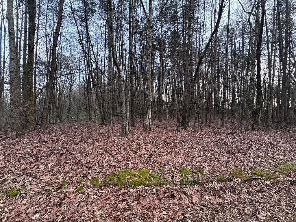 202 Emma Ter Dawsonville, GA 30534 - Thumbnail 3