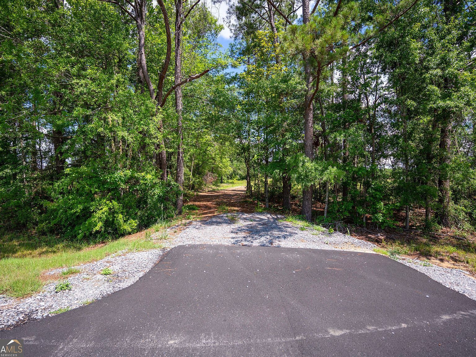 17614 Lanes Bridge Rd Odum, GA 31555 - Thumbnail 3