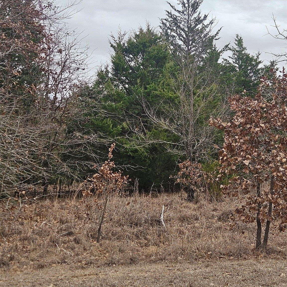 Taylor Rd Burneyville, OK 73430 - Thumbnail 3